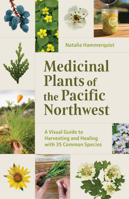 Medicinal Plants of the Pacific Northwest: A Visual Guide to Harvesting and Healing with 35 Common Species -- Natalie Hammerquist, Paperback