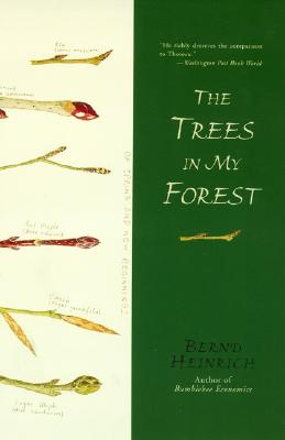 Cover Image for The Trees in My Forest -- Bernd Heinrich, Paperback