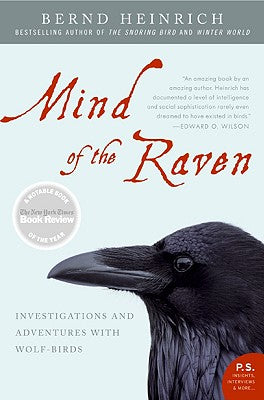 Cover Image for Mind of the Raven: Investigations and Adventures with Wolf-Birds -- Bernd Heinrich, Paperback