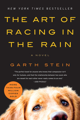 Cover Image for The Art of Racing in the Rain -- Garth Stein, Paperback