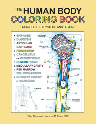 Cover Image for The Human Body Coloring Book: From Cells to Systems and Beyond -- Coloring Concepts Inc, Paperback