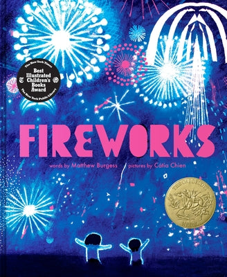 Cover Image for Fireworks -- Matthew Burgess, Hardcover