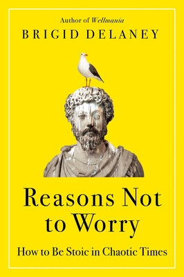 Cover Image for Reasons Not to Worry: How to Be Stoic in Chaotic Times -- Brigid Delaney, Paperback