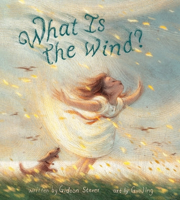 Cover Image for What Is the Wind? -- Gideon Sterer, Hardcover