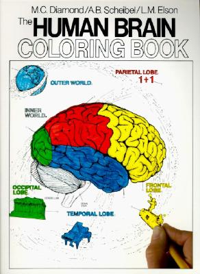 Cover Image for The Human Brain Coloring Book -- Marian C. Diamond, Paperback