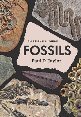 Cover Image for Fossils: An Essential Guide -- Paul D. Taylor, Hardcover