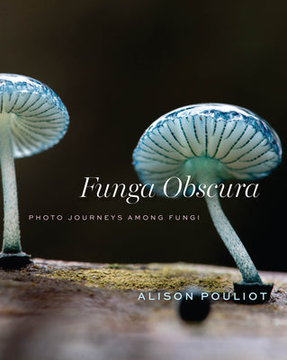 Cover Image for Funga Obscura: Photo Journeys Among Fungi -- Alison Pouliot, Hardcover