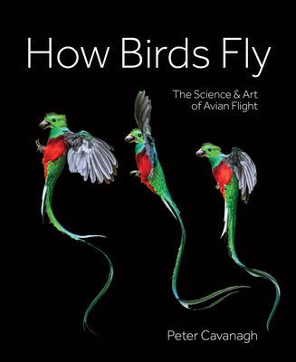 Cover Image for How Birds Fly: The Science and Art of Avian Flight -- Peter Cavanagh, Hardcover