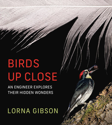Cover Image for Birds Up Close: An Engineer Explores Their Hidden Wonders -- Lorna Gibson, Hardcover