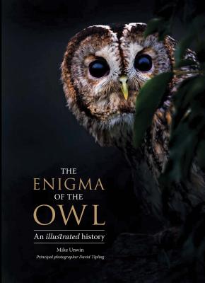 Cover Image for The Enigma of the Owl: An Illustrated Natural History -- Mike Unwin, Hardcover