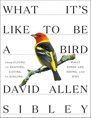 Cover Image for What It's Like to Be a Bird: From Flying to Nesting, Eating to Singing--What Birds Are Doing, and Why -- David Allen Sibley, Hardcover