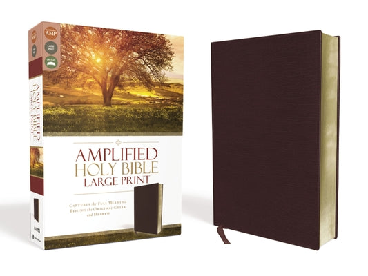 Cover Image for Amplified Bible-Am-Large Print: Captures the Full Meaning Behind the Original Greek and Hebrew -- Zondervan, Leather / Fine Binding