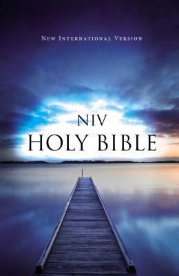 Cover Image for Value Outreach Bible-NIV -- Zondervan, Paperback
