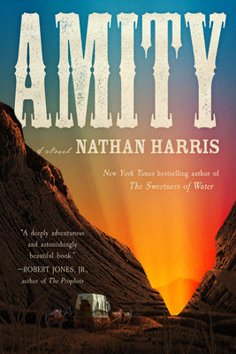 Cover Image for Amity -- Nathan Harris, Paperback