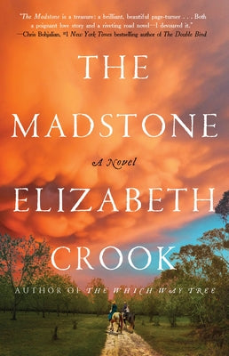 The Madstone -- Elizabeth Crook, Hardcover
