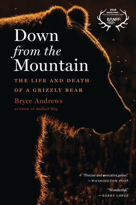 Cover Image for Down from the Mountain: The Life and Death of a Grizzly Bear -- Bryce Andrews, Paperback