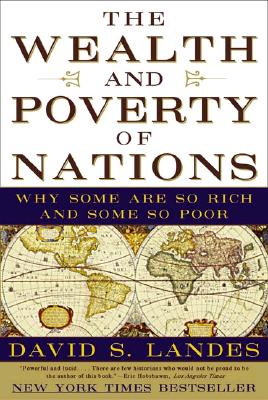 Cover Image for The Wealth and Poverty of Nations: Why Some Are So Rich and Some So Poor -- David S. Landes, Paperback