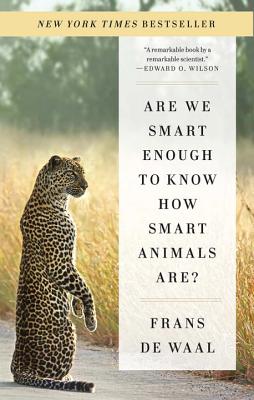 Cover Image for Are We Smart Enough to Know How Smart Animals Are? -- Frans de Waal, Paperback