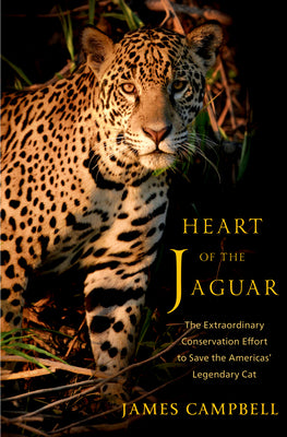 Cover Image for Heart of the Jaguar: The Extraordinary Conservation Effort to Save the Americas' Legendary Cat -- James Campbell, Hardcover