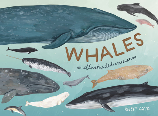 Cover Image for Whales: An Illustrated Celebration -- Kelsey Oseid, Hardcover