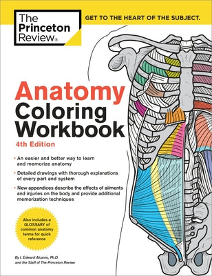 Cover Image for Anatomy Coloring Workbook, 4th Edition: An Easier and Better Way to Learn Anatomy -- The Princeton Review, Paperback