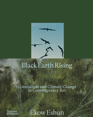 Cover Image for Black Earth Rising: Colonialism and Climate Change in Contemporary Art -- Ekow Eshun, Hardcover