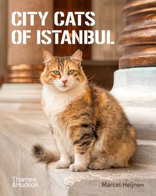 Cover Image for City Cats of Istanbul -- Marcel Heijnen, Paperback