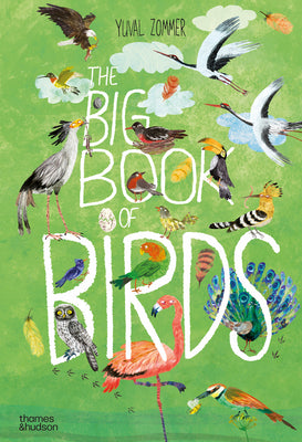 Cover Image for The Big Book of Birds -- Yuval Zommer, Hardcover