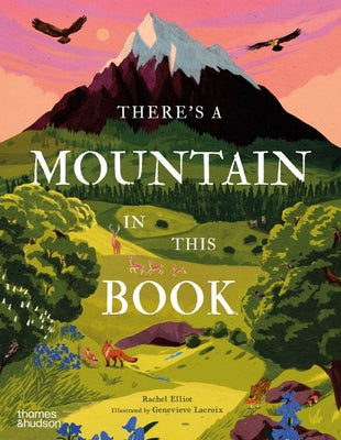 Cover Image for There's a Mountain in This Book -- Rachel Elliot, Hardcover