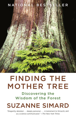 Cover Image for Finding the Mother Tree: Discovering the Wisdom of the Forest -- Suzanne Simard, Paperback