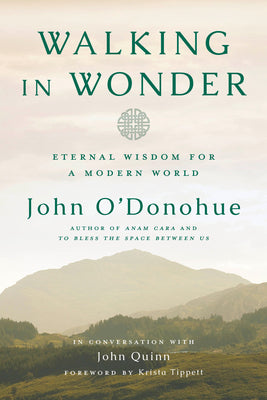 Cover Image for Walking in Wonder: Eternal Wisdom for a Modern World -- John O'Donohue, Hardcover