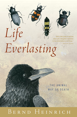 Cover Image for Life Everlasting: The Animal Way of Death -- Bernd Heinrich, Paperback