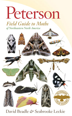 Cover Image for Peterson Field Guide to Moths of Northeastern North America -- David Beadle, Paperback