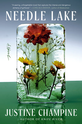 Cover Image for Needle Lake -- Justine Champine, Hardcover