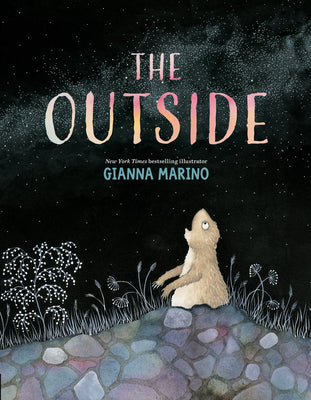 Cover Image for The Outside -- Gianna Marino, Hardcover