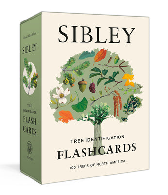 Cover Image for Sibley Tree Identification Flashcards: 100 Trees of North America -- David Allen Sibley, Other