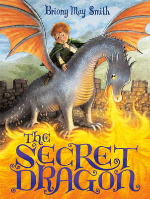 Cover Image for The Secret Dragon -- Briony May Smith, Hardcover