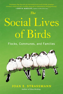 Cover Image for The Social Lives of Birds: Flocks, Communes, and Families -- Joan E. Strassmann, Hardcover