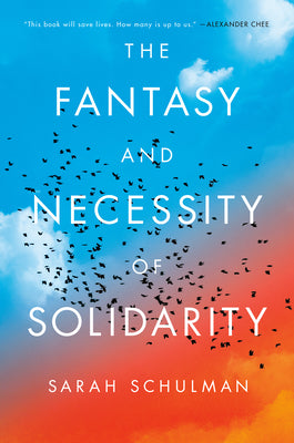 Cover Image for The Fantasy and Necessity of Solidarity -- Sarah Schulman, Hardcover
