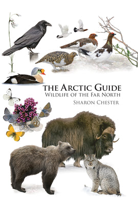 Cover Image for The Arctic Guide: Wildlife of the Far North -- Sharon Chester, Paperback