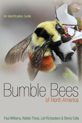 Cover Image for Bumble Bees of North America: An Identification Guide -- Paul H. Williams, Paperback