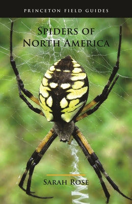 Cover Image for Spiders of North America -- Sarah Rose, Paperback
