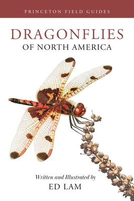 Cover Image for Dragonflies of North America -- Ed Lam, Paperback
