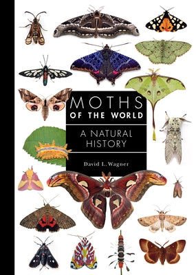Cover Image for Moths of the World: A Natural History -- David L. Wagner, Hardcover
