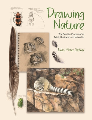 Cover Image for Drawing Nature: The Creative Process of an Artist, Illustrator, and Naturalist -- Linda Miller Feltner, Hardcover