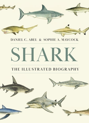 Cover Image for Shark: The Illustrated Biography -- Daniel Abel, Hardcover