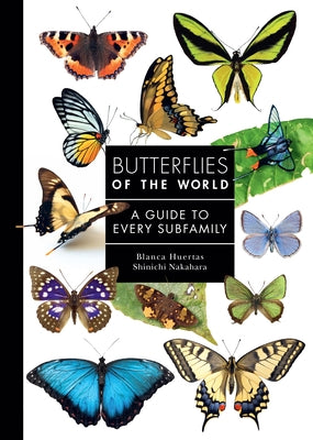 Cover Image for Butterflies of the World: A Guide to Every Subfamily -- Blanca Huertas, Hardcover