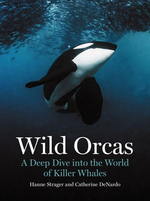 Cover Image for Wild Orcas: A Deep Dive Into the World of Killer Whales -- Hanne Strager, Hardcover