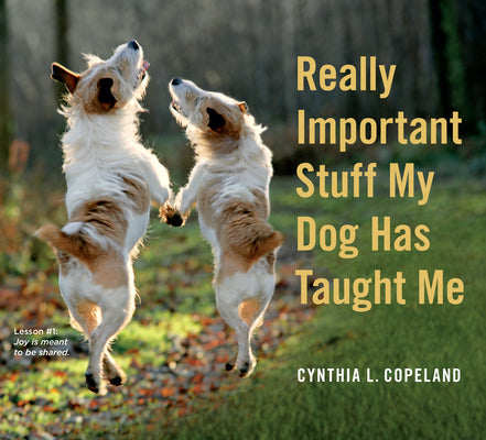 Cover Image for Really Important Stuff My Dog Has Taught Me -- Cynthia L. Copeland, Paperback