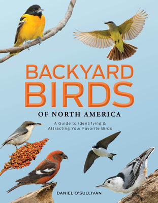 Cover Image for Backyard Birds of North America: A Guide to Identifying and Attracting Your Favorite Birds -- Daniel O'Sullivan, Hardcover